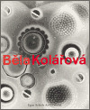 Běla Kolářová