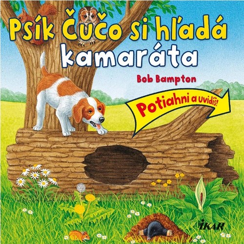 Psík Čučo si hľadá kamaráta