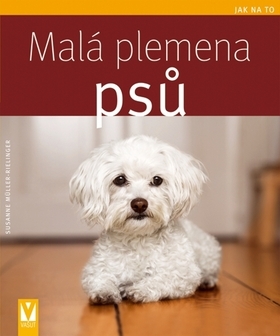 Malá plemena psů - Jak na to