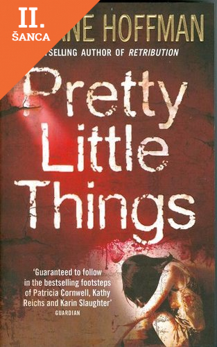 Lacná kniha Pretty Little Things