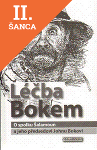 Lacná kniha Léčba Bokem