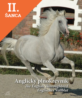 Lacná kniha Anglický plnokrevník