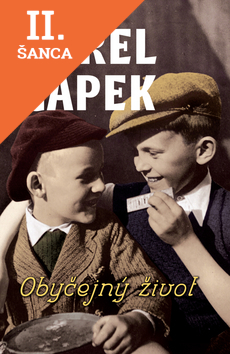 Lacná kniha Obyčejný život