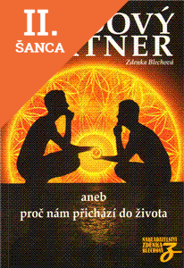 Lacná kniha Osudový partner