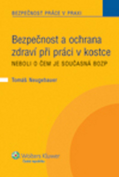 Bezpečnost a ochrana zdraví při práci v kostce