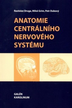Anatomie centrálního nervového systému