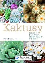 Kaktusy