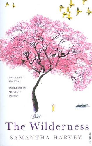 The Wilderness