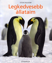 Legkedvesebb állataim