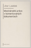 Mezinárodní právo v komentovaných dokumentech