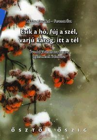 Esik a hó, fúj a szél, varjú károg, itt a tél