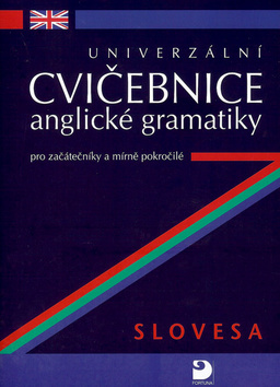 Univerzální cvičebnice anglické gramatiky - Petr Kácha