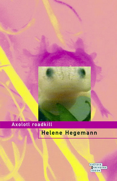 Axolotl roadkill