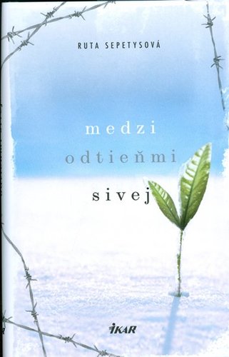 Medzi odtieňmi sivej