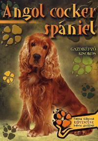 Angol cocker spániel