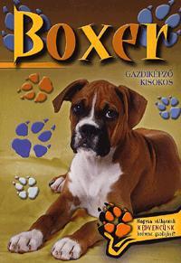 Boxer