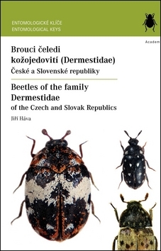 Brouci čeledi kožojedovití (Dermestidae)