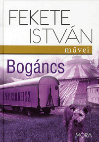 Bogáncs