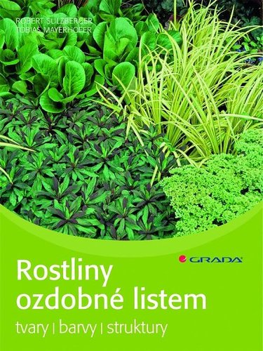 Rostliny ozdobné listem