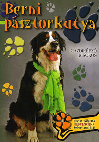 Berni pásztorkutya