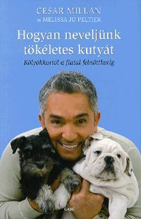 Hogyan neveljünk tökéletes kutyát