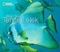 TengerLélek