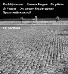 Pražský chodec