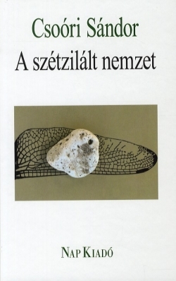 A szétzilált nemzet