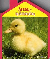 Állatkölykök
