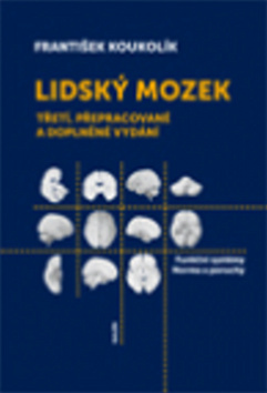 Lidský mozek
