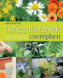 Gyógynövények cserépben