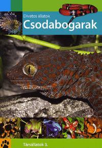 Divatos állatok: Csodabogarak