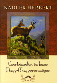 Cserkészeten és lesen Nagy-Magyarországon