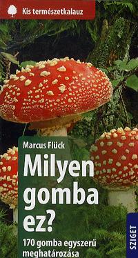 Milyen gomba ez?