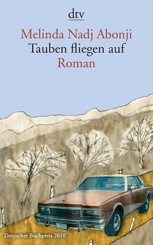Tauben Fliegen
