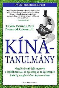 Kína-tanulmány