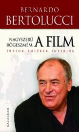 Nagyszerű rögeszmém, a film