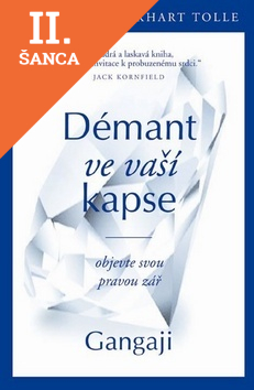Lacná kniha Démant ve vaší kapse