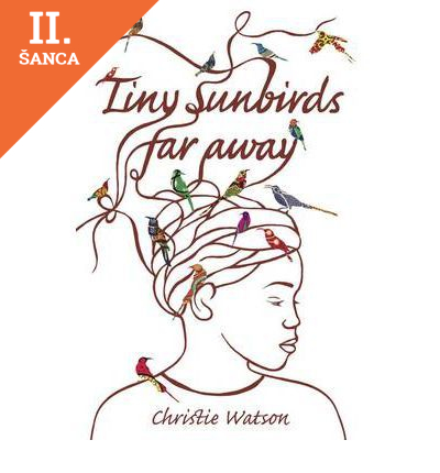 Lacná kniha Sunbirds Far Away