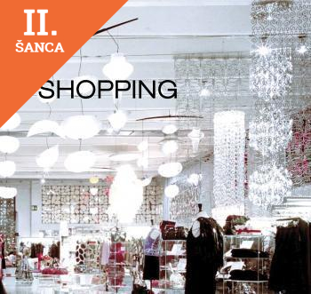 Lacná kniha Shopping