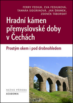 Hradní kámen přemyslovské doby v Čechách