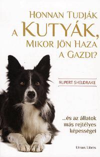 Honnan tudják a kutyák, mikor jön haza a gazdi? - Rupert Sheldrake