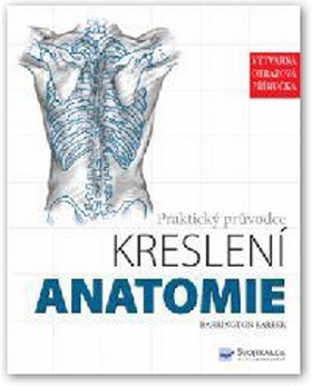 Praktický průvodce kreslení Anatomie