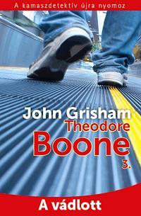 Theodore Boone 3.: A vádlott