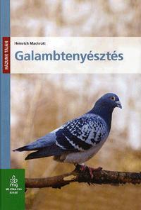 Galambtenyésztés