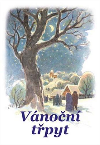 Vánoční třpyt