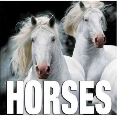 Horses Cubebook