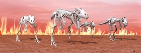 Záložka Úžaska T-Rex