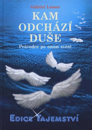 Kniha Kam odchází duše?