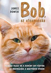 Bob, az utcamacska